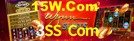 3SS Com