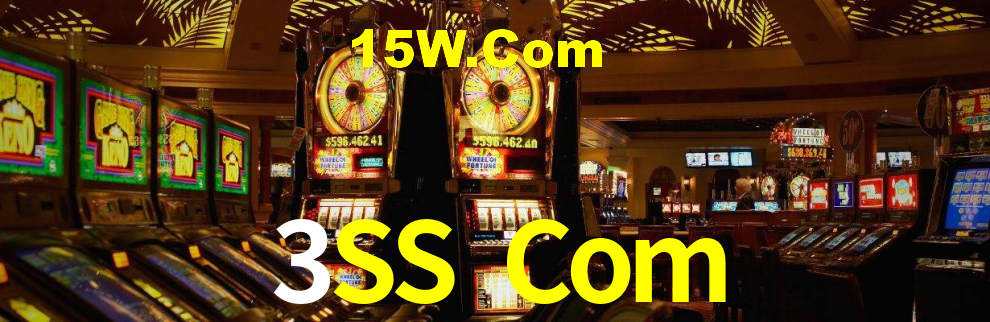 3SS Com